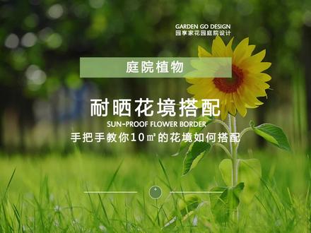 粉丝福利专享,10㎡耐晒,绝美花境的详细教程 #庭院设计#花园设计#别墅庭院#植物设计#别墅花园#花境#我要上热门#我要流量@DOU+小助手@抖音