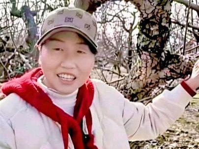 #助力三农 稼接秋月梨的冬季修剪。