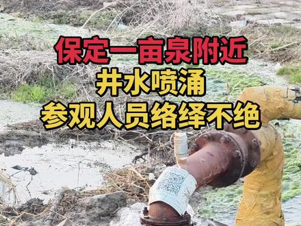 先有一亩泉后有保定府,古时周围有很多泉眼,时隔五六十年出现喷涌现象,南水北调工程作用显现,今年降水增多,地下水回升#古泉#城市发展