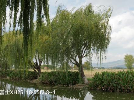 富士XH2S简单评测(站在一个富士老用户的角度来谈谈使用感受) #富士相机 #富士xh2s #相机评测