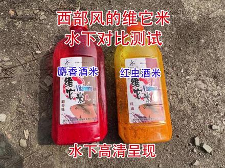 红色麝香酒米和黄色红虫酒米,冬季打窝哪个效果更好一点#饵料测试 #饵料窝料 #酒米打窝 #饵料测评 #钓鱼