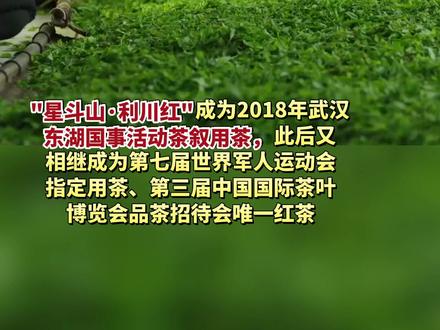 从无人问津到一罐难求,“星斗山·利川红”已是可以带走的湖北名片。