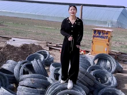 长278 宽22 总费用50w#种大棚的张二能