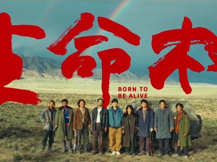 狂追8集,《生命树》戳人的不是爽文剧情,而是血淋淋的真实 #生命树 #电视剧生命树 #杨紫 #胡歌 #梅婷