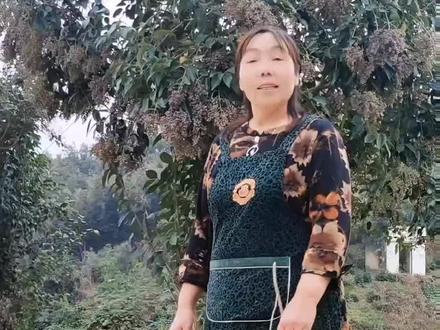 女贞子晒干之后蒸一蒸再晒非常好#好东西一起分享给大家 #抖音助农 #经验分享