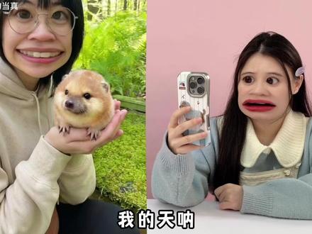 小树林地洞里有“刀盾狗”!在洞口放上薯片,就能把们引诱出来 #刀盾狗 #寻宝 #童趣 #玩具#布鲁可