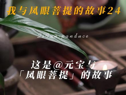 凤眼盘脏了怎么办?#凤眼菩提如何清理?#文玩 #佛珠手串 #尼泊尔 #盘它 #文玩手串