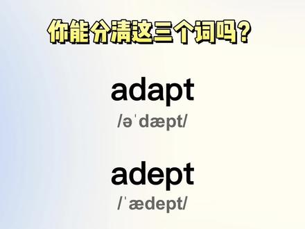 一个视频帮你高效区分adapt、adept、adopt #专升本#专升本英语#高频词汇#易混词辨析#单词速记