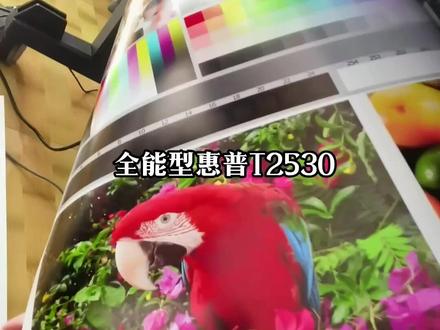 惠普T2530多功能一体机#绘图仪#T2530#惠普T2500#图文快印