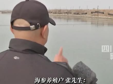 4月14日据央视新闻,#海参养殖户发现间谍装置,摄像头探测距离25公里,可用于掌握局域海域的海况。#415第八个全民国家安全教育日
