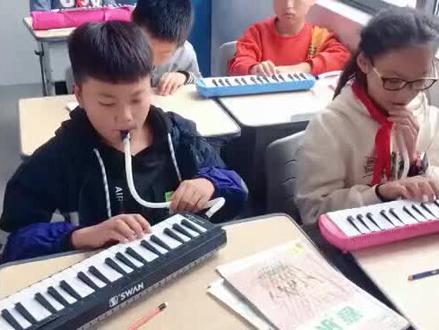 母鸡母鸡叫咯咯#口风琴