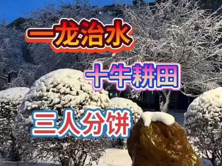 明年是什么年,大家都知道吗?2024年是青龙年