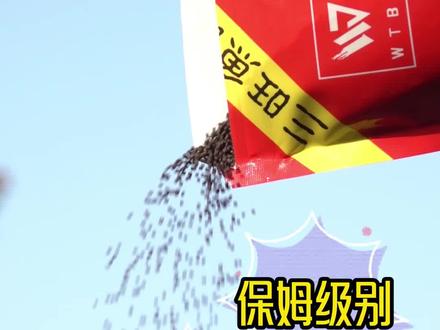 黑颗粒泡泡球新手教程#爆护饵料 #2023dou来钓鱼 #泡泡球开饵方法