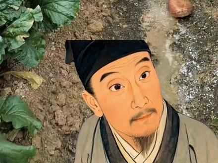 老一辈种菜施肥方法,种菜别再乱施肥了