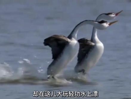 人类文明 近代才发现 ...
这 “涡轮增 🦆压” 技术 !