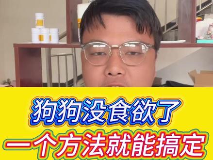 狗狗没食欲了,一个方法就能搞定。#养狗经验分享 #狗狗 #新手养狗 #养狗的乐趣 #科学养宠攻略