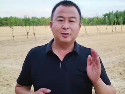 高温干旱玉米该怎么种,怎么管?#玉米