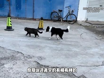 12月5日热门事件 #热门事件 #社会热门事件