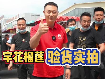 刚到的宇花榴莲,让大家先尝尝看看口感怎么样!#榴莲 #新农人计划2022 #小宝哥榴莲