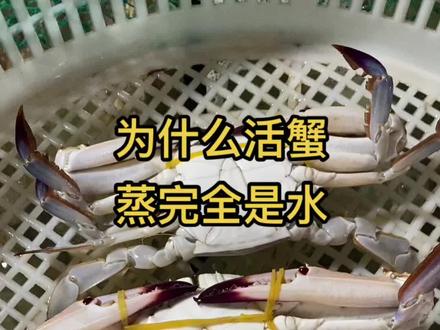 为什么有人买的全是活蟹子,蒸完全是水,没肉,不是卖家调包,是它本身就瘦!#赶海 #热门@抖音小助手