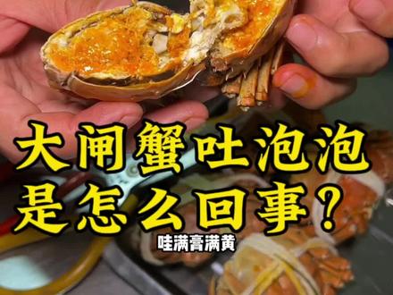 请教一下大闸蟹吐泡泡是怎么回事?
#抖音美食推荐官 #同城美食 #大闸蟹 #华坪烧烤签签时代