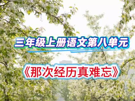 三年级上册语文第八单元习作《那次经历真难忘》,共588字。#作文#同步作文#作文素材#写作技巧#小学语文