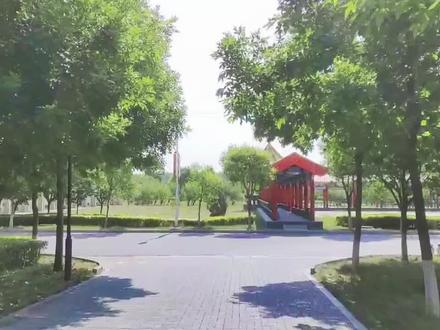 林州一中,再见#学校风景 #大学校园 #最美校园