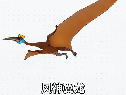 如何画风神翼龙#简笔画 #绘画 #零基础学画画