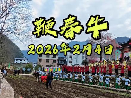 柯城九华妙源村,立春祭申遗十周年现场,鞭春牛。#立春#立春祭#九华立春祭#鞭春牛#民俗文化