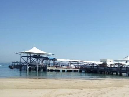 男生258女生369,你明白吗?