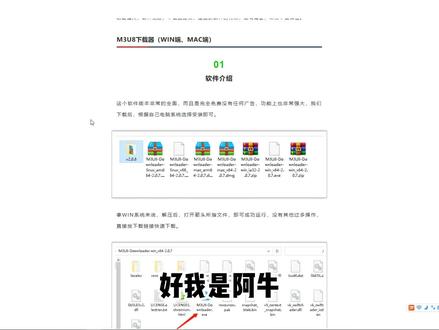 如何下载链接为M3U8的视频,这个功能太好用了 #M3U8 #视频下载