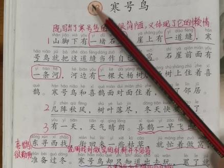 二年级语文上册第13课《寒号鸟》课文朗读和课堂笔记#二年级语文上册 #课堂笔记 #寒号鸟#