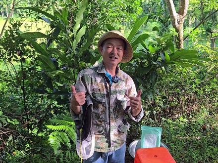 #内容启发搜索 #蜜蜂#山野自然#廖老三的乡村生活