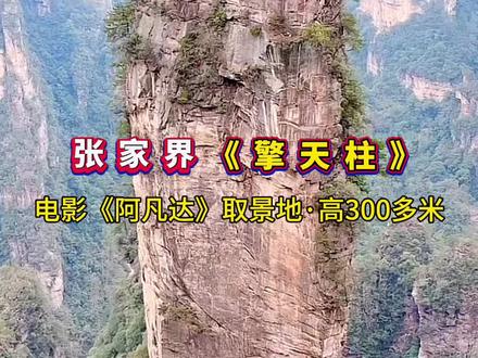 张家界《擎天柱》#张家界国家森林公园