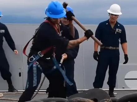 数吨重的船锚你见过吗#船锚 #安全操作