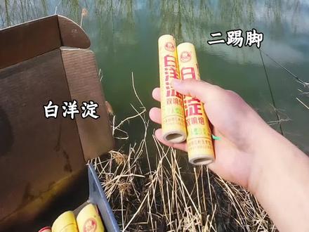 万万没想到,在村西头的小河沟里藏了这么多鱼#鱼爱保 #鲫鱼霸窝#渔之源钛武神鱼竿 @渔之源 源齐 #钩尖江湖鲜虾水解蛋白饵