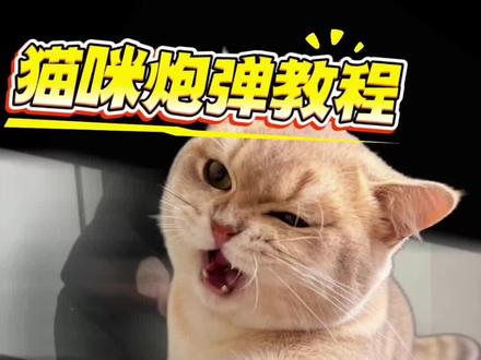 宝子们要的保姆级教程来咯,逞着除夕拉着你的亲朋好友一起拍起来吧~一起上🔥门#猫咪炮弹 #教程分享 #萌宠发射教程 #猫咪炮弹教程 #抖音二创激励计划