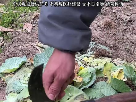 常温4小时后,这些菜再馋也别吃! #冷知识 #食品安全 #科普 #涨知识 #变质食物