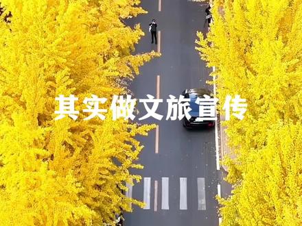 其实做文旅宣传,我说白了……#濮阳文旅#废话文学#抽象