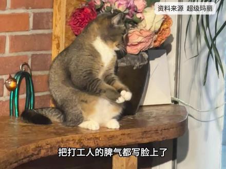 11月23日社会热点信息差 #信息差 #热点 #热点新闻事件