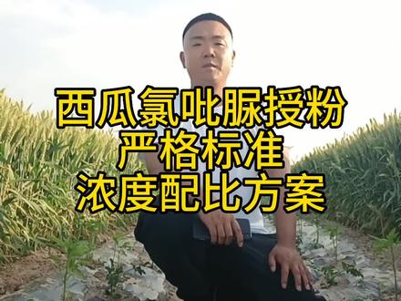 均匀喷施,远离瓜花,切勿重复喷施#感谢抖音平台助农为乐 #关注我每天为你分享更多农业知识