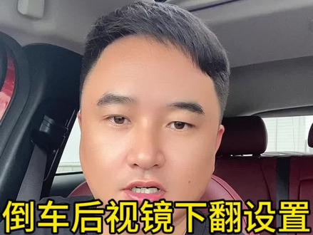 #热门话题🔥 #有车的人要知道的知识 倒车时后视镜下翻怎么设置?安排~