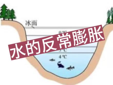 不是考点,只解惑。为什么冬天只在河水上表面结冰,水下生物是怎样度过寒冷冬天的?#物理 #教育 #知识会发光 #教书育人 #每天学习一点点