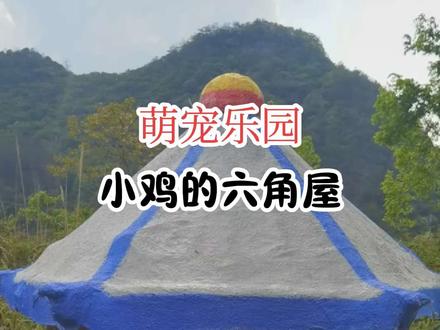 小鸡的屋是六角凉亭主题好 还是花轿主题好呢?#自制鸡屋