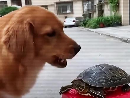 “封面已改 好友你始终慢我一步”#把纯爱的世界还给我 #听潮阁不争