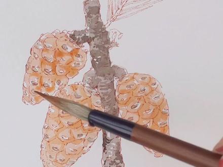 三乖三乖~掉在地上的松果里为什么没有松子呢?#绘画教程 #松子 #手绘 #长知识