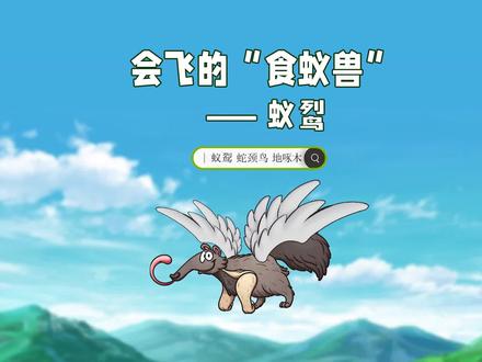 蚁鴷:会飞的"食蚁兽"#科普 #知识合伙人 #动画 #知识创作人 #动漫