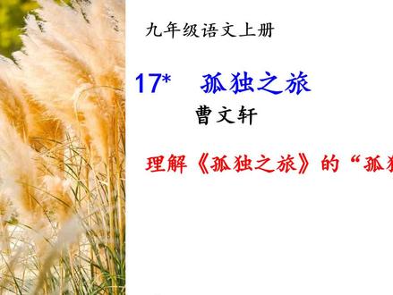 怎样理解课文《孤独之旅》的“孤独”