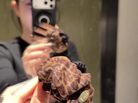 姐妹们快来,高马尾的神仙发圈来了! #显发量 #高马尾 #发圈头绳 #高马尾头绳 #女生必备