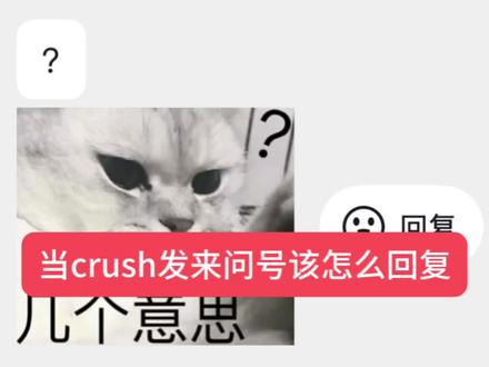 当crush发来问号该怎么回复#crush聊天技巧 #情感互动指南 #crush相处指南 #社交沟通小妙招 #恋爱话术分享